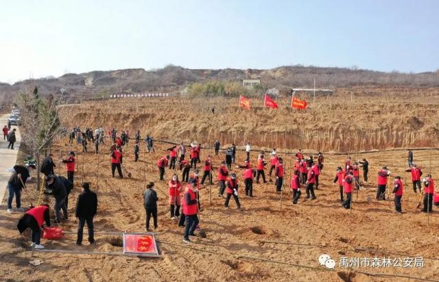 禹州市森林公安局:志愿服务栽植“青年林” 禹州市森林公安局:志愿服务栽植“青年林”