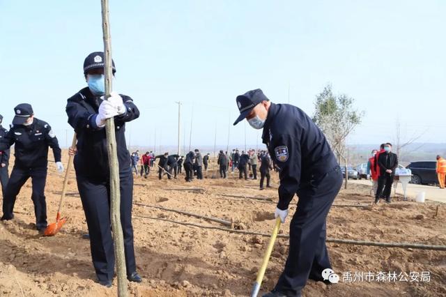 禹州市森林公安局:志愿服务栽植“青年林” 禹州市森林公安局:志愿服务栽植“青年林”
