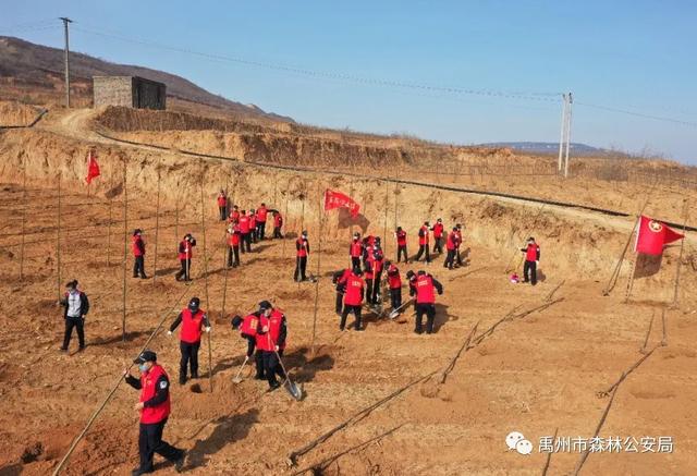 禹州市森林公安局:志愿服务栽植“青年林” 禹州市森林公安局:志愿服务栽植“青年林”
