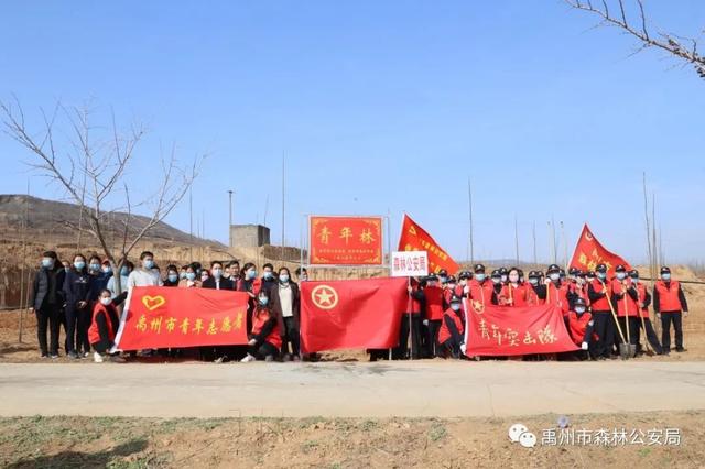 禹州市森林公安局:志愿服务栽植“青年林” 禹州市森林公安局:志愿服务栽植“青年林”