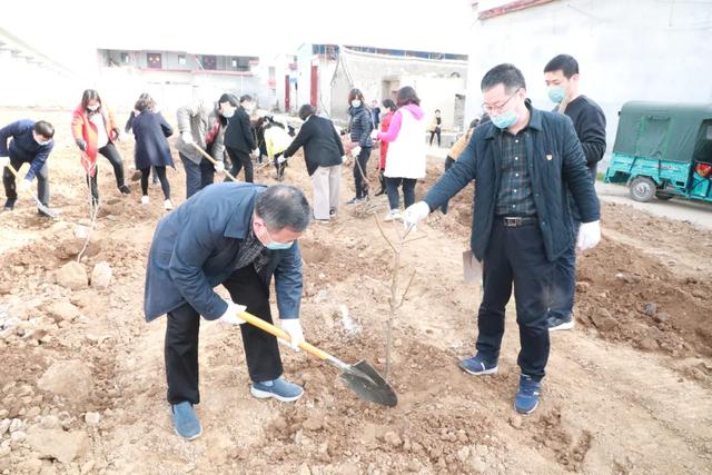 禹州市财政局 开展义务植树志愿服务活动 禹州市财政局 开展义务植树志愿服务活动