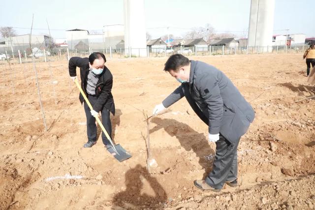 禹州市财政局 开展义务植树志愿服务活动 禹州市财政局 开展义务植树志愿服务活动