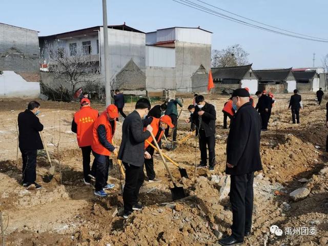 禹州团委:同心共建“青年林” 青春引领“绿风尚” 禹州团委:同心共建“青年林” 青春引领“绿风尚”