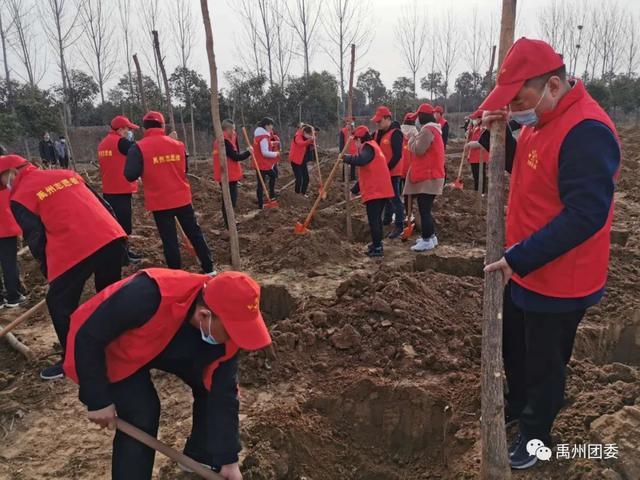 禹州团委:同心共建“青年林” 青春引领“绿风尚” 禹州团委:同心共建“青年林” 青春引领“绿风尚”