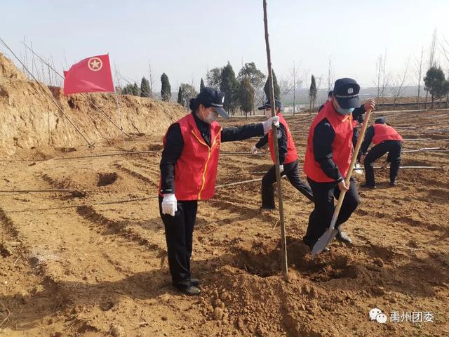 禹州团委:同心共建“青年林” 青春引领“绿风尚” 禹州团委:同心共建“青年林” 青春引领“绿风尚”