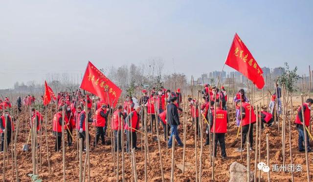 禹州团委:同心共建“青年林” 青春引领“绿风尚” 禹州团委:同心共建“青年林” 青春引领“绿风尚”