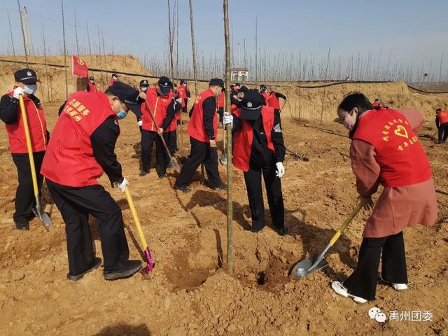 禹州团委:同心共建“青年林” 青春引领“绿风尚” 禹州团委:同心共建“青年林” 青春引领“绿风尚”