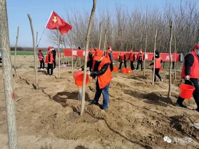 禹州团委:同心共建“青年林” 青春引领“绿风尚” 禹州团委:同心共建“青年林” 青春引领“绿风尚”