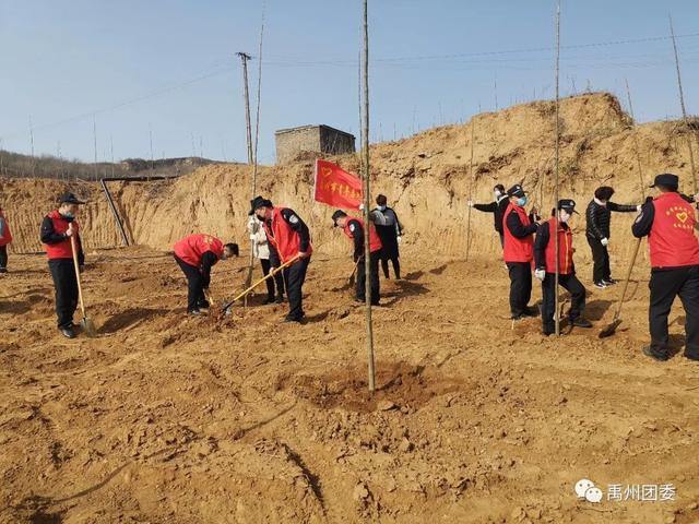 禹州团委:同心共建“青年林” 青春引领“绿风尚” 禹州团委:同心共建“青年林” 青春引领“绿风尚”