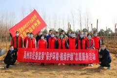 禹州市市纪委监委开展义务植树活动