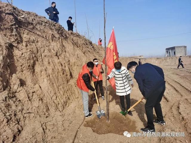 禹州市自然资源和规划局开展义务植树活动 禹州市自然资源和规划局开展义务植树活动