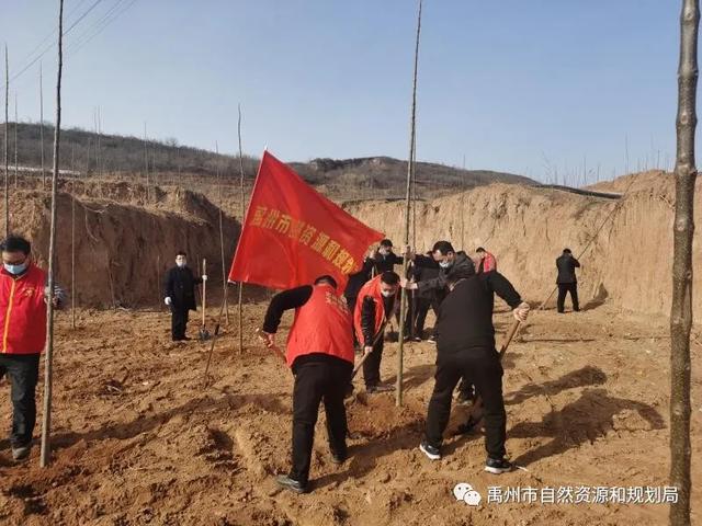 禹州市自然资源和规划局开展义务植树活动 禹州市自然资源和规划局开展义务植树活动