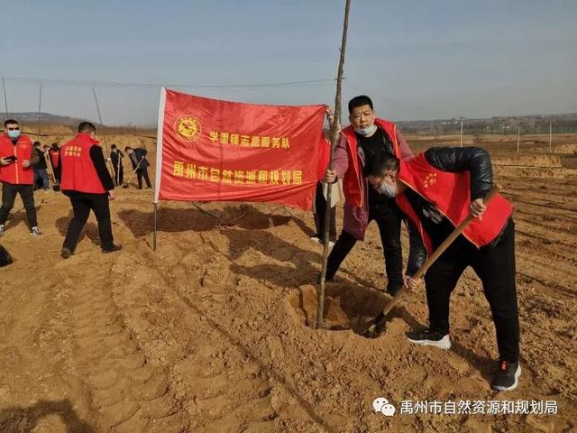 禹州市自然资源和规划局开展义务植树活动 禹州市自然资源和规划局开展义务植树活动