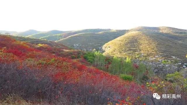 厉害了!禹州鸠山镇天垌村、魏井村“住进”中国传统村落数字博物馆 厉害了!禹州鸠山镇天垌村、魏井村“住进”中国传统村落数字博物馆