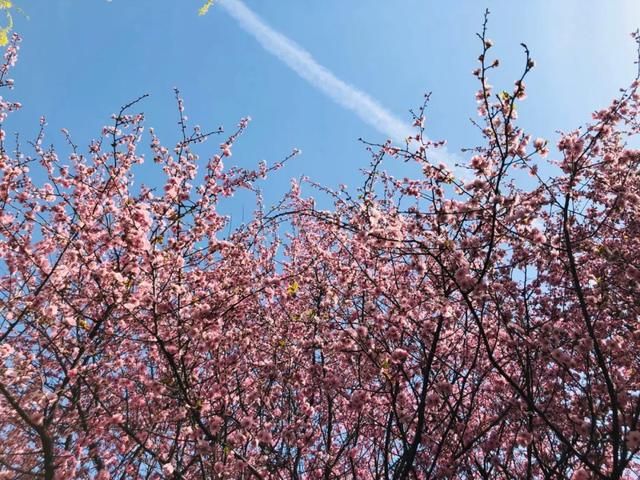 今天!禹州彩虹桥被捕捉的这一幕,让所有人... 今天!禹州彩虹桥被捕捉的这一幕,让所有人...