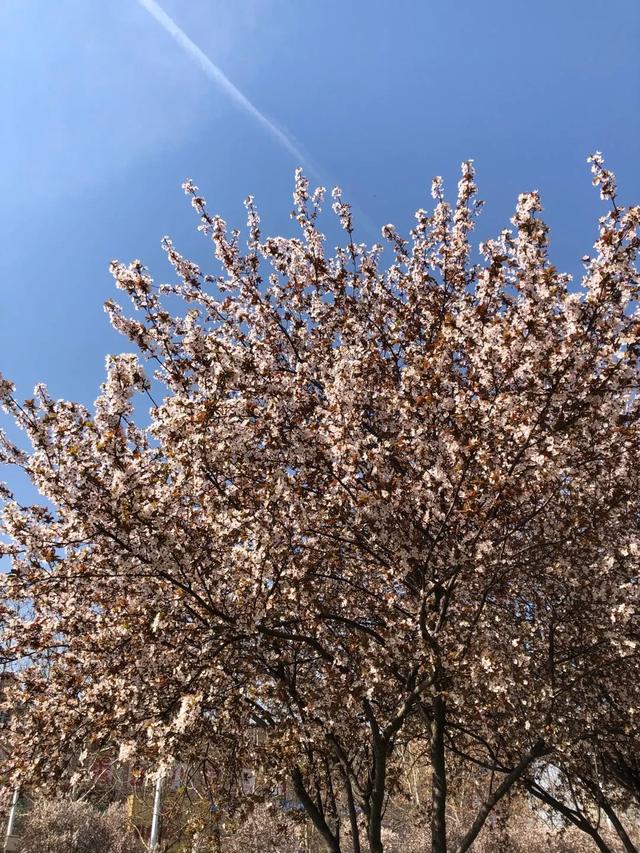 今天!禹州彩虹桥被捕捉的这一幕,让所有人... 今天!禹州彩虹桥被捕捉的这一幕,让所有人...