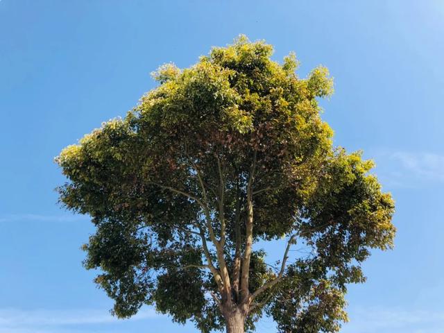 今天!禹州彩虹桥被捕捉的这一幕,让所有人... 今天!禹州彩虹桥被捕捉的这一幕,让所有人...