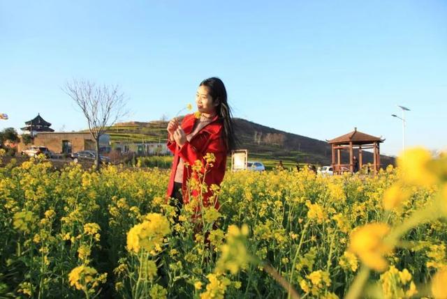 禹州市旅游局:一起相约方山油菜花海! 禹州市旅游局:一起相约方山油菜花海!