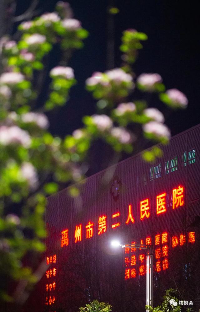 禹州市旅游局:炜摄会应是绿肥红瘦 夜海棠一组 禹州市旅游局:炜摄会应是绿肥红瘦 夜海棠一组