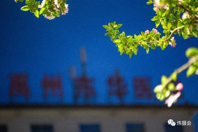 禹州市旅游局:炜摄会应是绿肥红瘦 夜海棠一组 禹州市旅游局:炜摄会应是绿肥红瘦 夜海棠一组