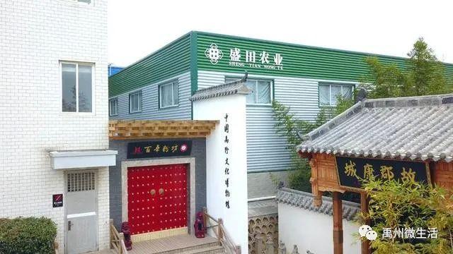 禹州朱阁:千亩油菜花海 争相怒放 禹州朱阁:千亩油菜花海 争相怒放
