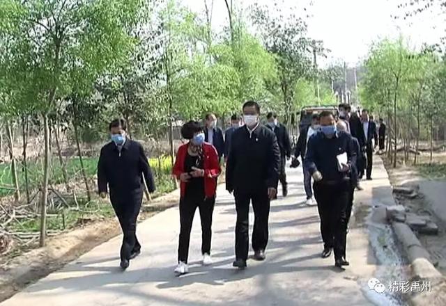 王堃在禹州市督战脱贫攻坚工作 王堃在禹州市督战脱贫攻坚工作