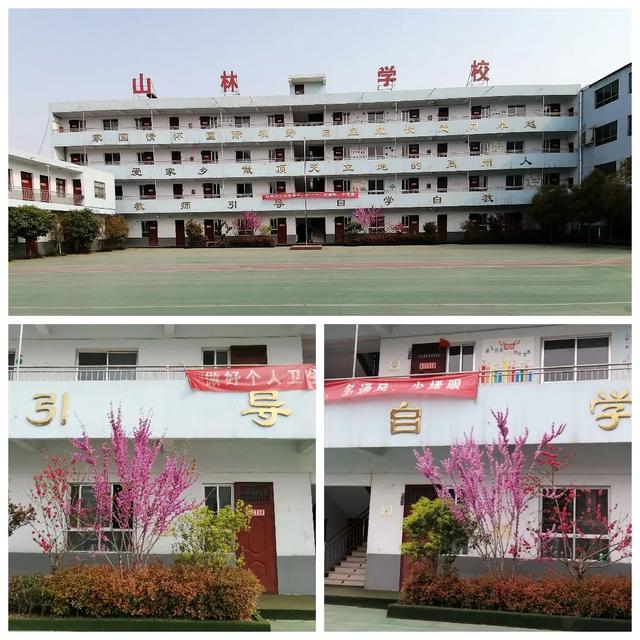 禹州山林学校夏都分校2020春季开学在即 禹州山林学校夏都分校2020春季开学在即