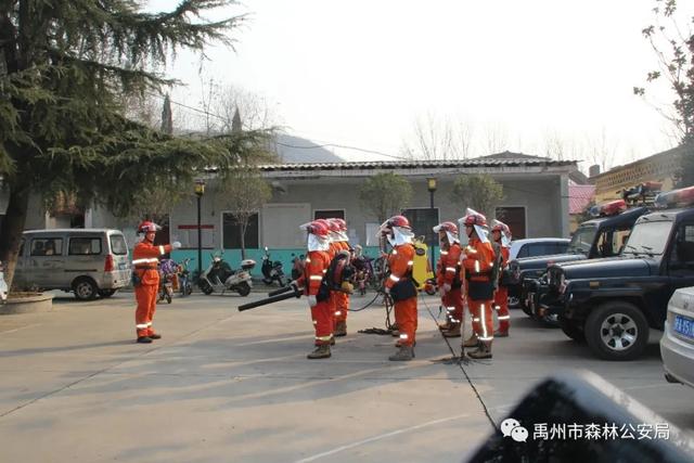禹州市森林公安局全力做好清明前后森林防火工作 禹州市森林公安局全力做好清明前后森林防火工作