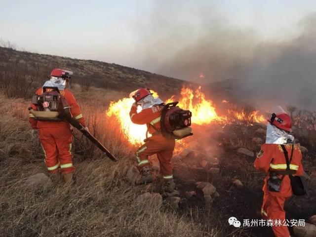 禹州市森林公安局全力做好清明前后森林防火工作 禹州市森林公安局全力做好清明前后森林防火工作