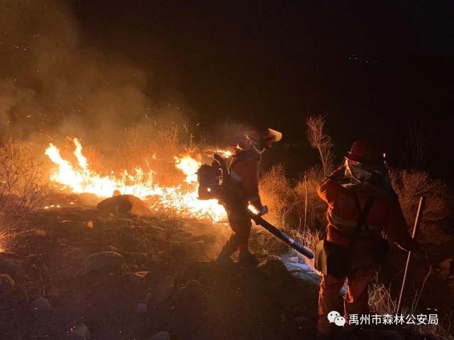 禹州市森林公安局全力做好清明前后森林防火工作 禹州市森林公安局全力做好清明前后森林防火工作