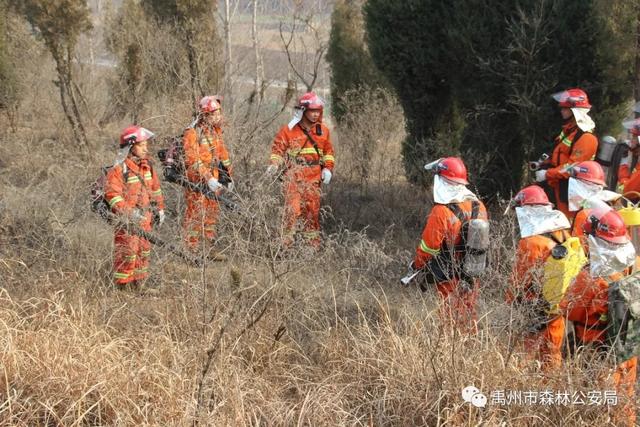 禹州市森林公安局全力做好清明前后森林防火工作 禹州市森林公安局全力做好清明前后森林防火工作