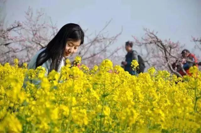 禹州颍川大厦:你镜头下的禹州春色! 禹州颍川大厦:你镜头下的禹州春色!