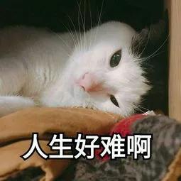 熊孩子又开始“作妖”了 禹州市消防救援大队出警解决 熊孩子又开始“作妖”了 禹州市消防救援大队出警解决