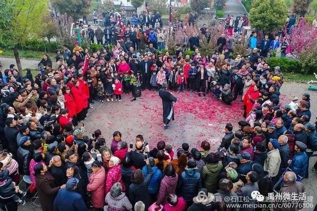禹州市花石镇河东张庄村3月30举办第三届海棠赏花节 禹州市花石镇河东张庄村3月30举办第三届海棠赏花节