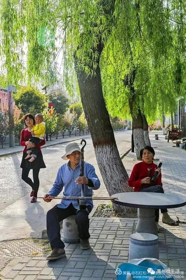 禹州市花石镇河东张庄村3月30举办第三届海棠赏花节 禹州市花石镇河东张庄村3月30举办第三届海棠赏花节