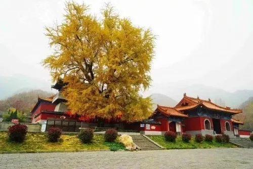 4月2日大鸿寨景区正式开园! 4月2日大鸿寨景区正式开园!