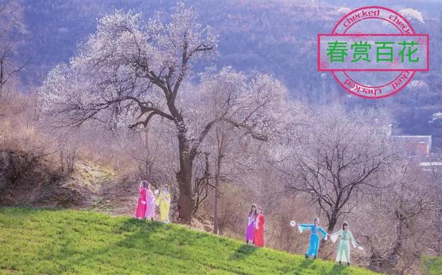 4月2日大鸿寨景区正式开园! 4月2日大鸿寨景区正式开园!
