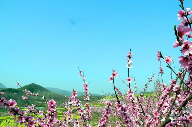 禹州人请注意!3月28日大熊山仙人谷福利来袭,不负美好时光~ 禹州人请注意!3月28日大熊山仙人谷福利来袭,不负美好时光~