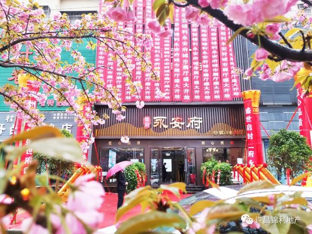 3月29日禹州锦利永安府城市展厅正式开放 3月29日禹州锦利永安府城市展厅正式开放