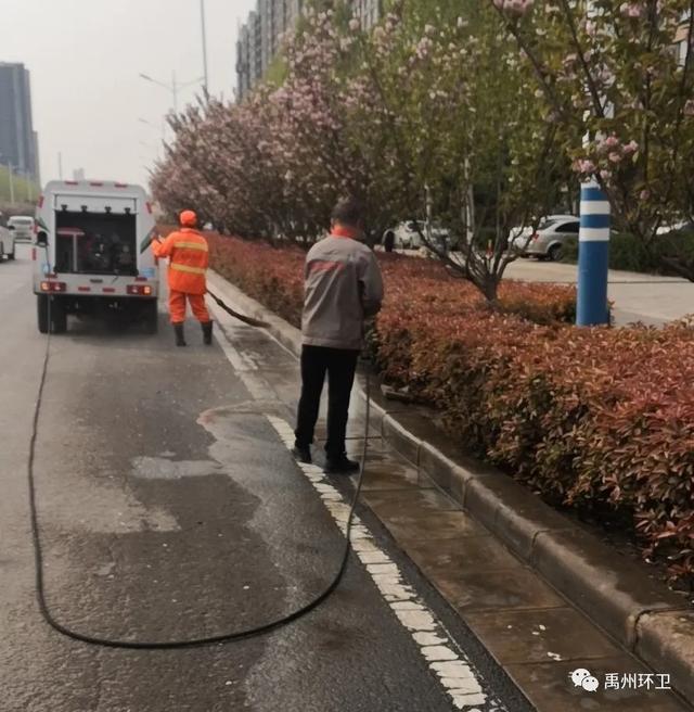 禹州环卫:柳絮漫天作雪飞 多措并举忙清理 禹州环卫:柳絮漫天作雪飞 多措并举忙清理