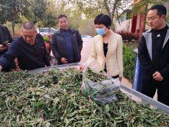 护航脱贫攻坚 禹州纪检人在行动