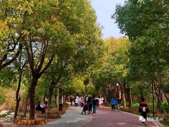 较强冷空气来袭，禹州后天最低气温-5°C