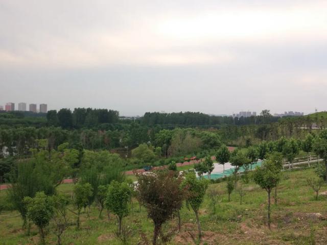 禹州登善湖城市公园!美景旁却“遍地垃圾”!别再这样干了 禹州登善湖城市公园!美景旁却“遍地垃圾”!别再这样干了