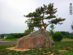禹州登善湖城市公园！美景旁却“遍地垃圾”！别再这样干了