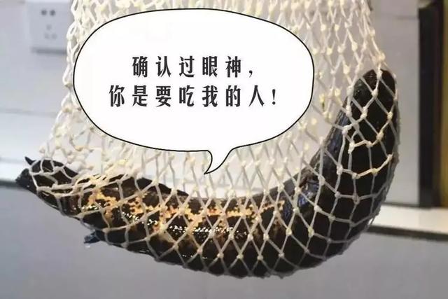 禹州鑫御隆斑鱼庄49.9抢购原价114元3斤鱼 禹州鑫御隆斑鱼庄49.9抢购原价114元3斤鱼