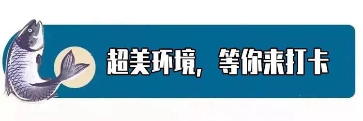 禹州龙门鱼府来过的都成了回头客,49.9元抢3斤清江鱼 禹州龙门鱼府来过的都成了回头客,49.9元抢3斤清江鱼