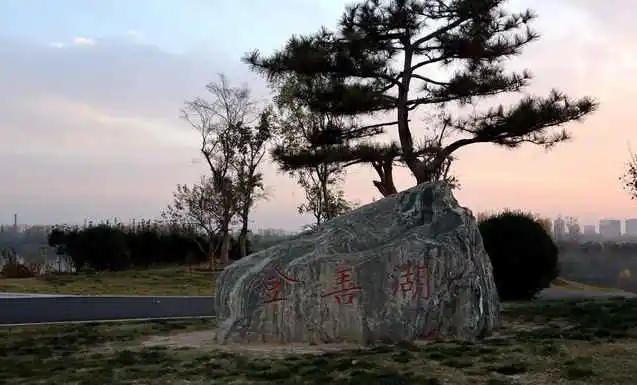 紧急曝光!禹州登善湖昨天的这一幕,看完让人..... 紧急曝光!禹州登善湖昨天的这一幕,看完让人.....