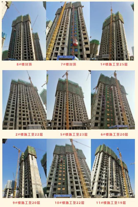 禹州瑞贝卡和天下喜封金顶,您的家初长成! 禹州瑞贝卡和天下喜封金顶,您的家初长成!