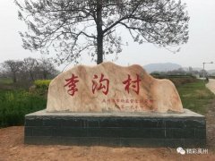 脱贫大考中禹州无梁镇李沟村交出了“幸福答卷”