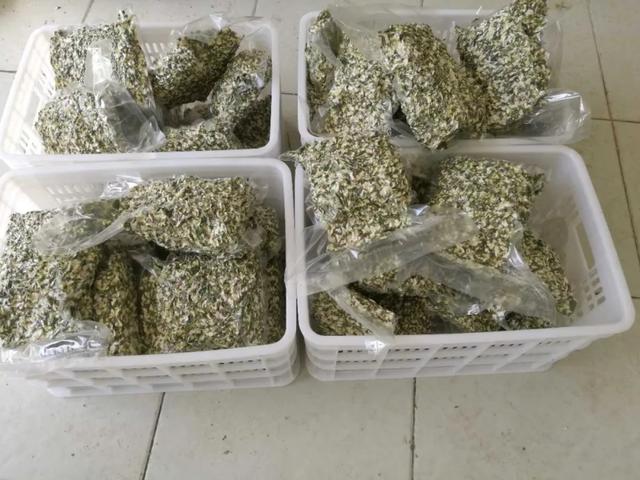 禹州鸠山张家庄村:山好人好花槐花更好,这里的人们需要大家的帮扶! 禹州鸠山张家庄村:山好人好花槐花更好,这里的人们需要大家的帮扶!